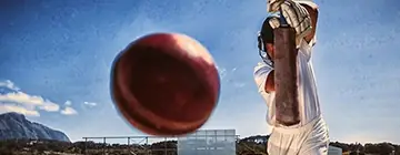 Cricket