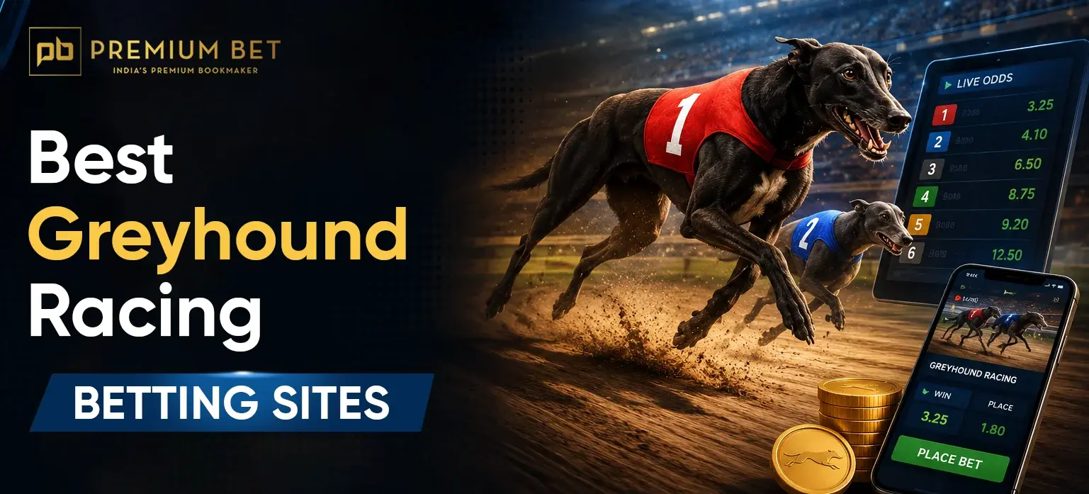 Greyhound Racing Betting Sites